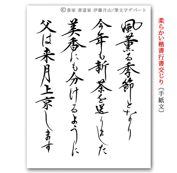 手紙等の文章を書家 書道家が毛筆で筆耕致します 筆文字デパート